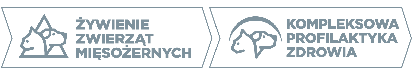 Global preventive profile