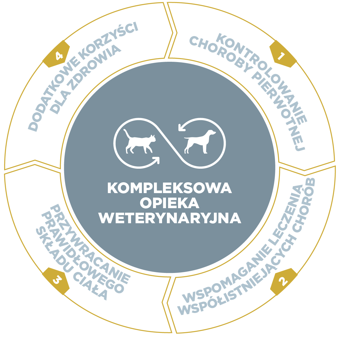 Veterinary_global_care-01_PL.png
