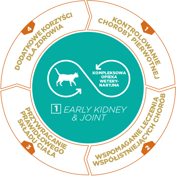 Cat-Dry-Early Kidney Joint-1_PL.png