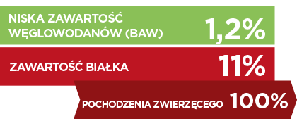 Cat-Wet KJ_PL.png