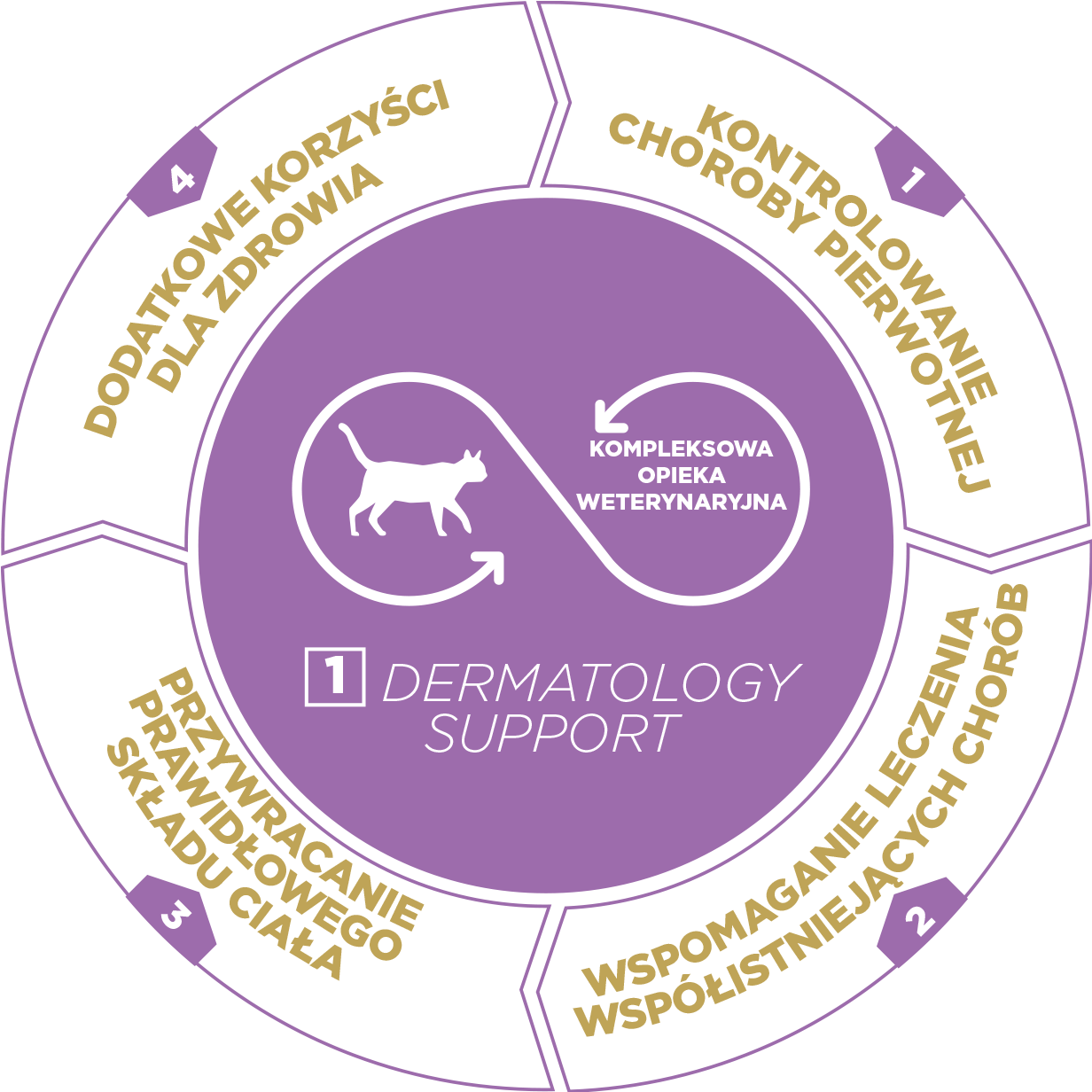 Cat-Dermato-1_PL.png