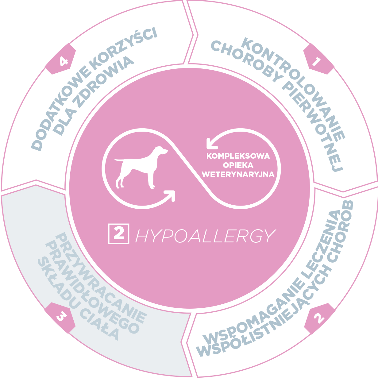 Dog-Allergy-2-PL.png