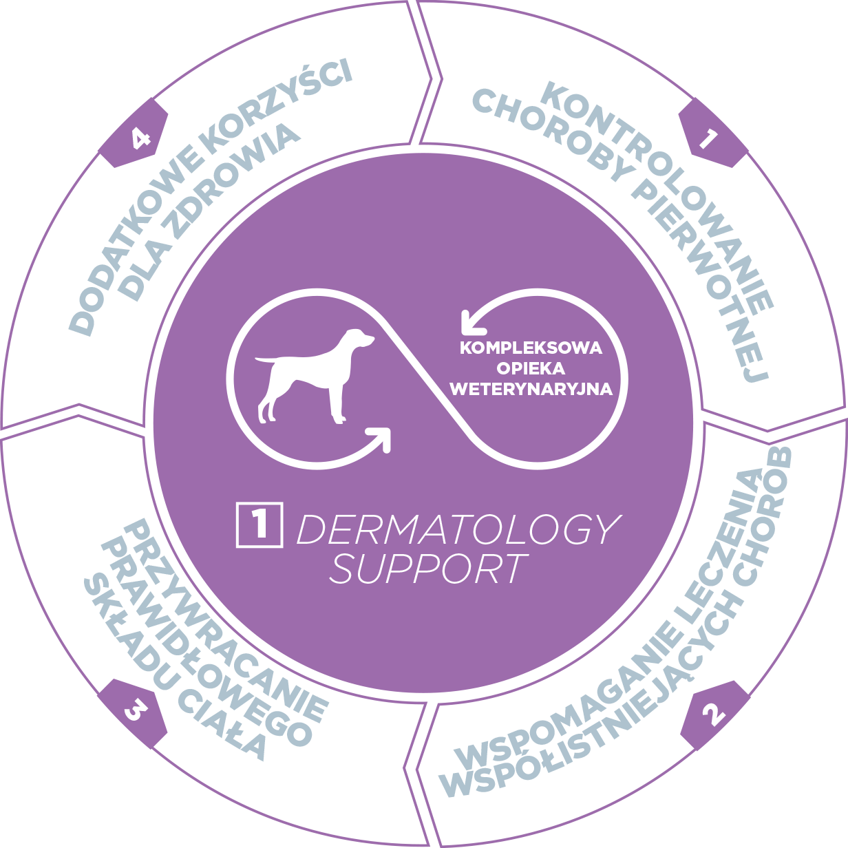 Dog-Dermato-1-PL.png