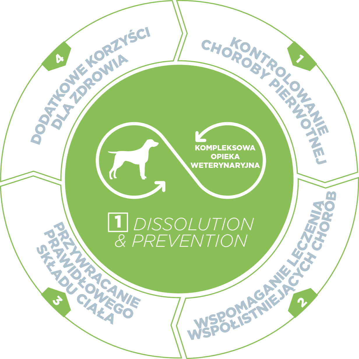 Dog-Urology-1-PL.png