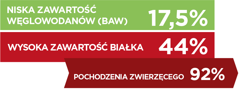 Cat-Gastro-1_PL.png