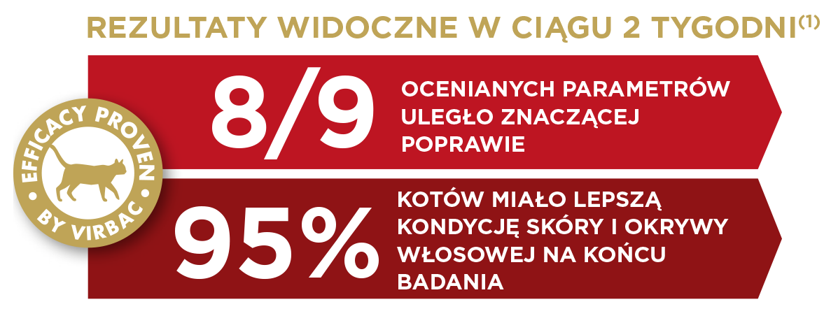 Cat-Dermato-1_PL.png