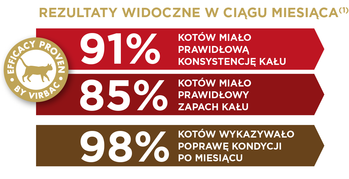 Cat-Gastro-1_PL.png