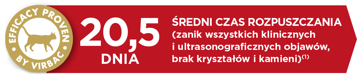 Cat-Urology-2_PL.png