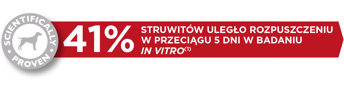 Dog-Urology-1-PL.png